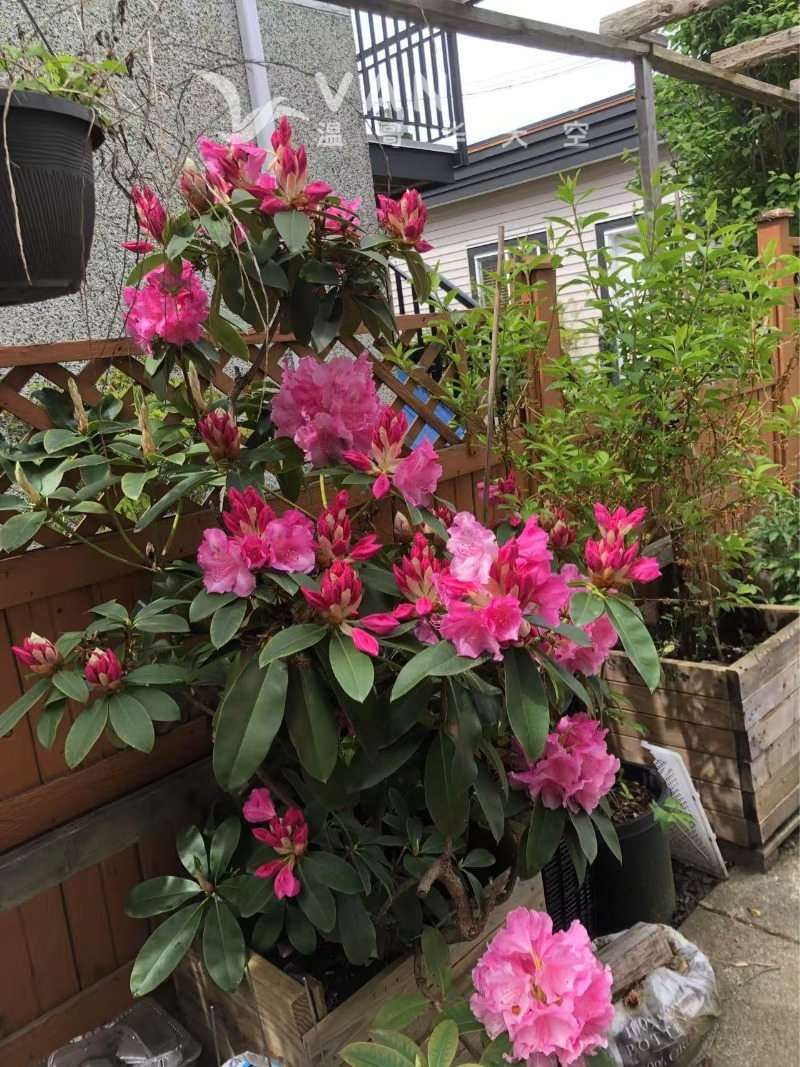 250603193101_Weixin Image_20250517135911.jpg